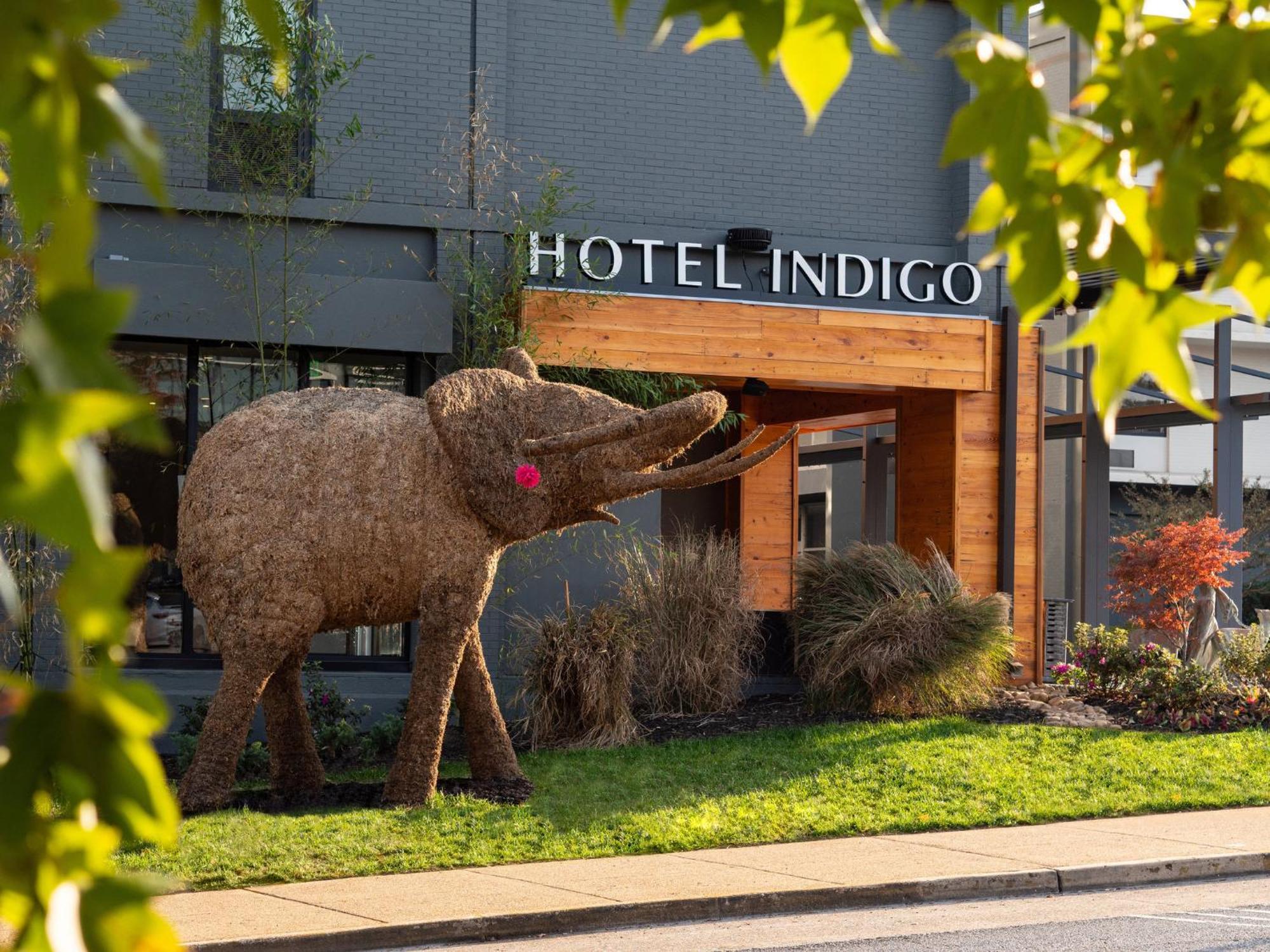 Hotel Indigo Chattanooga - Downtown By Ihg Dış mekan fotoğraf