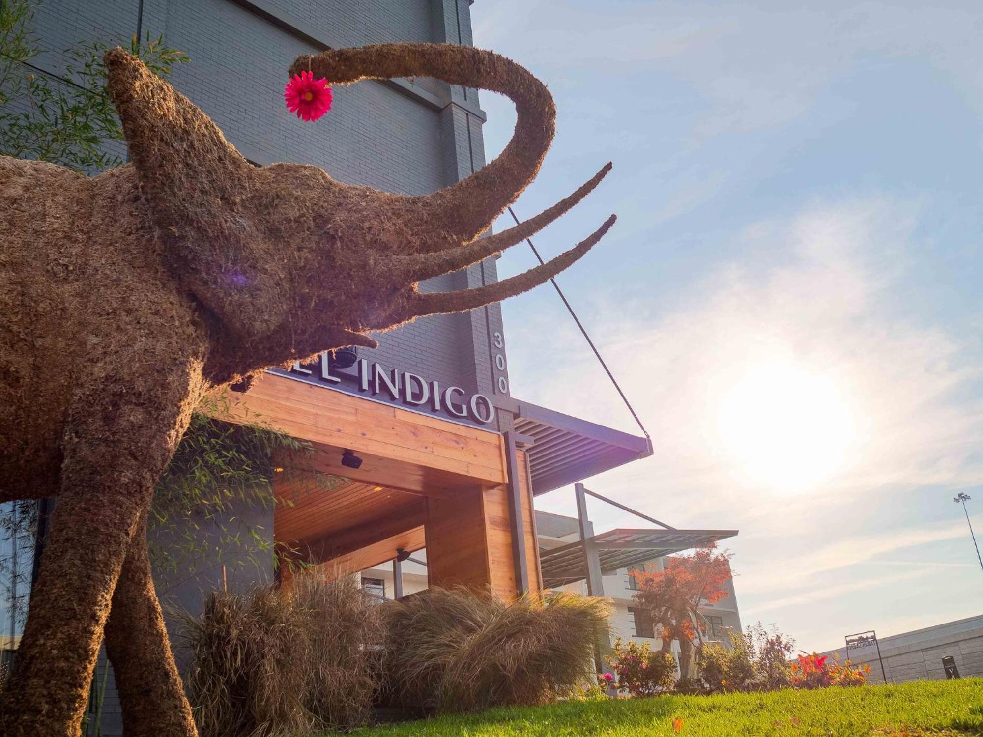 Hotel Indigo Chattanooga - Downtown By Ihg Dış mekan fotoğraf